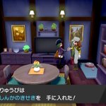 ポケモン剣を色違いコイキング1匹で挑む その５