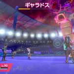 続･ポケモン剣を色違いコイキング1匹で挑む その２